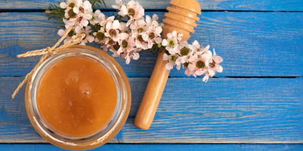 Preliminary Study Shows Potential of Manuka Honey as a Nutraceutical for Breast Cancer